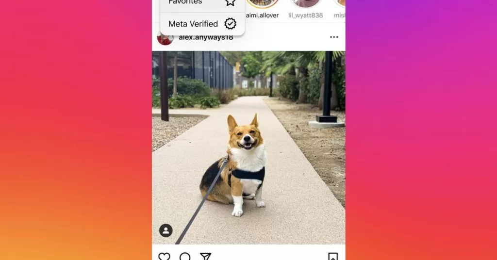 Instagram tests a verified-only feed